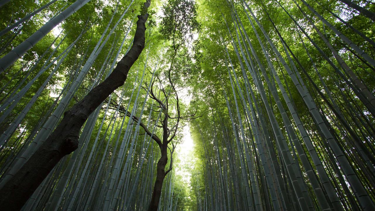 体育赛事现场服务场景